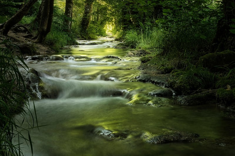 Mystical Greens
