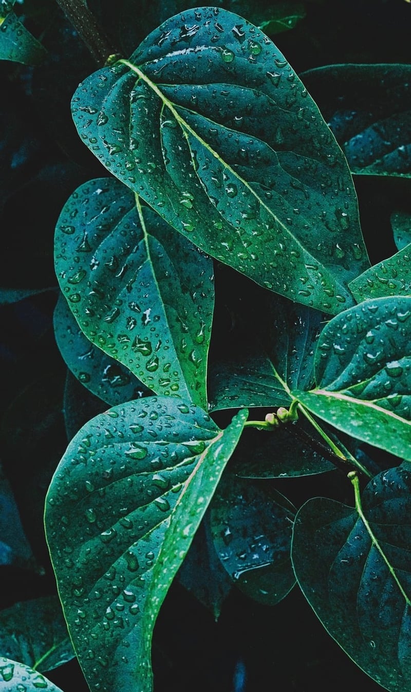 Eco-friendly Beauty Products