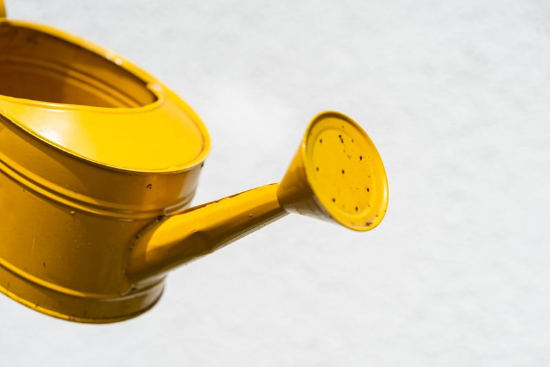 Fairy Watering Can